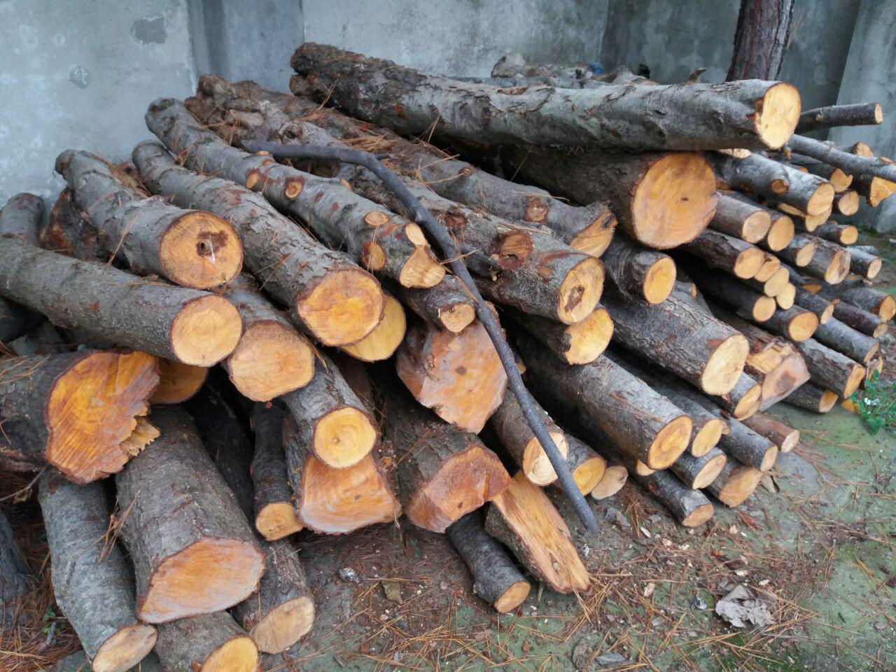 کشف چوب قاچاق در اقلید
